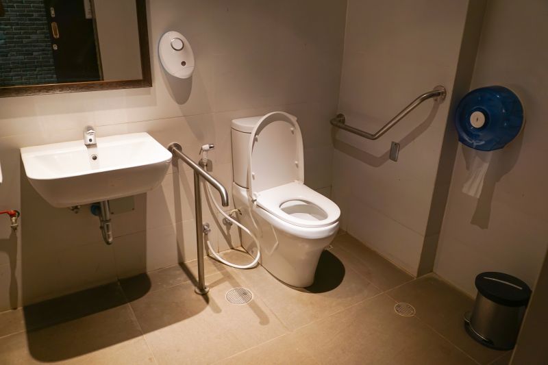 Toilet Grab Bars Installation