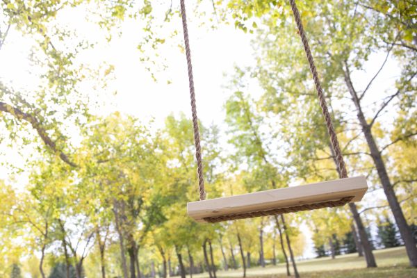 Tree Swing Installation in Cheyenne