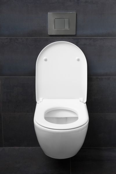 Toilet Lid Installation in Cheyenne