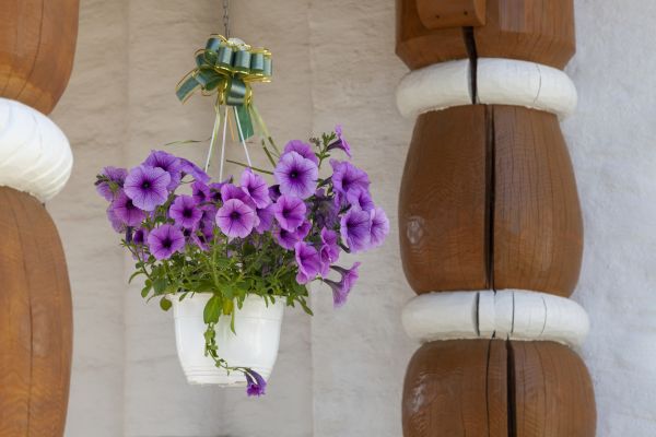 Hanging Planter Mounting