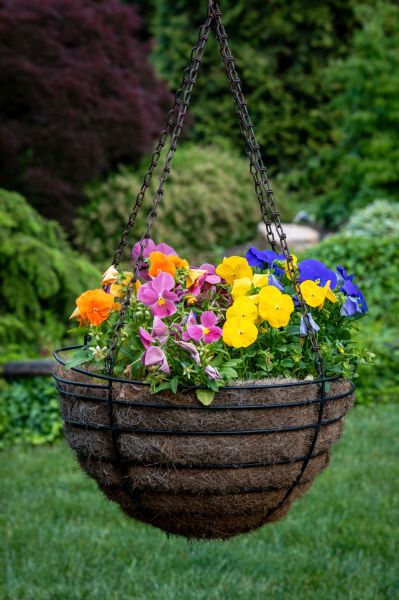 Hanging Basket Installation in Cheyenne