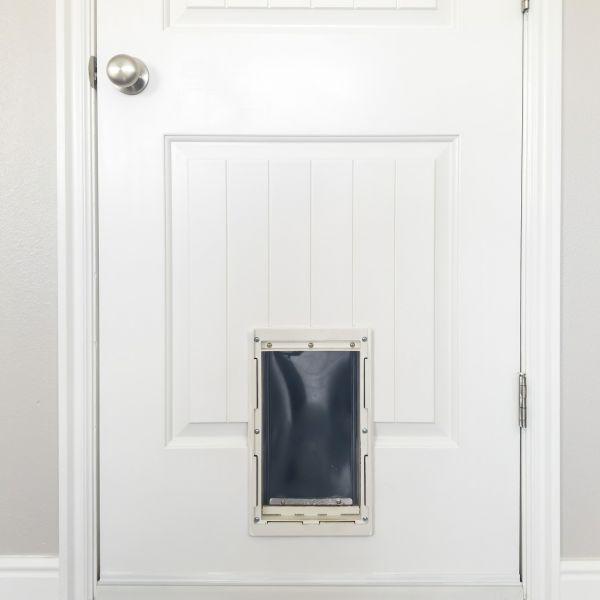 Pet Door Repair in Cheyenne
