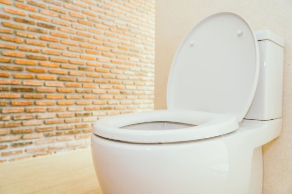Cost of Toilet Seat Repair in Cheyenne